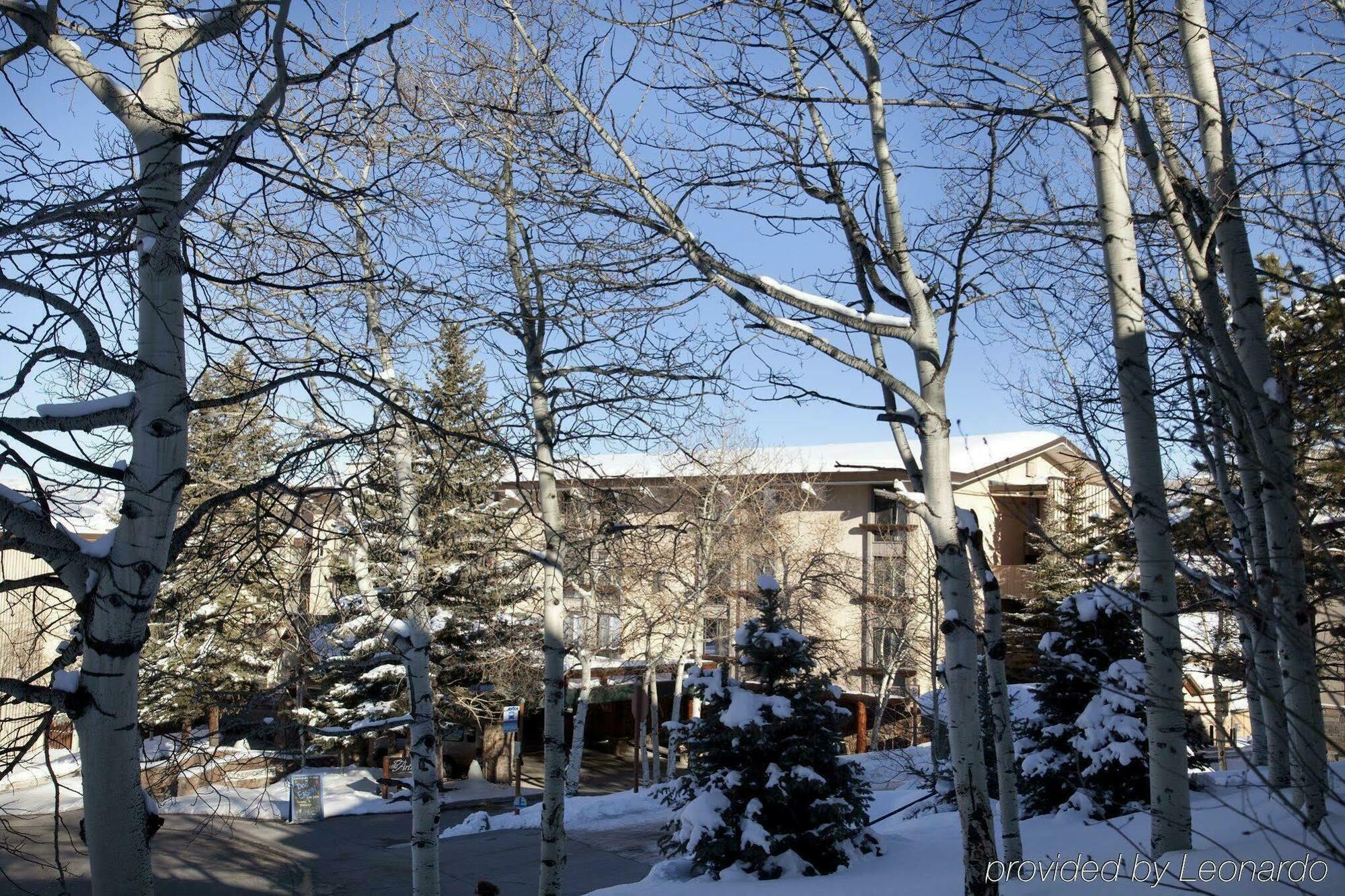 Tamarack Townhomes - Coraltree Residence Collection Snowmass Village Buitenkant foto